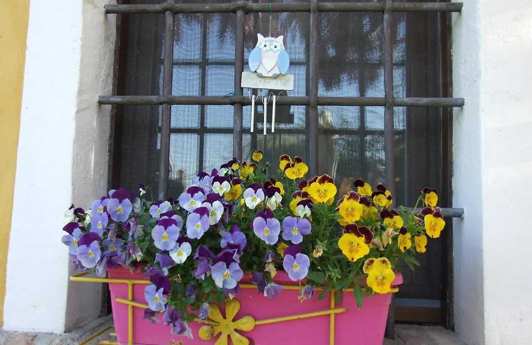 B&B Casacasina-1